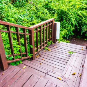 Outdoor wooden stair in the forest with tree for travel and vacation